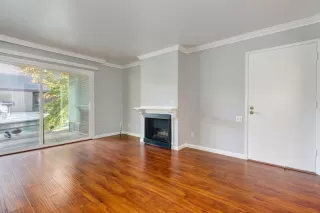 Photo #5: 223108208 Listing