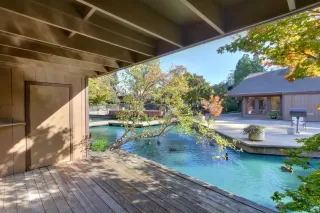 Photo #6: 223108208 Listing