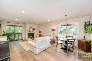 Photo #3: 223108247 Listing