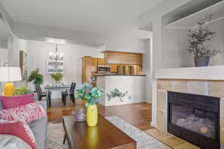 Photo #5: 223108635 Listing 