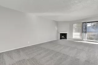 Photo #5: 223108636 Listing