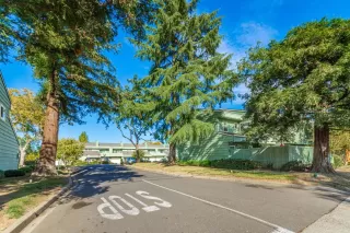 Photo #1: 223110539 Listing 