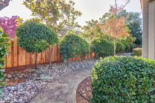 Photo #6: 223111815 Listing