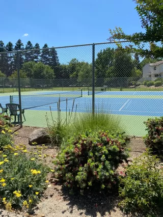 Photo #4: 223112566 Listing