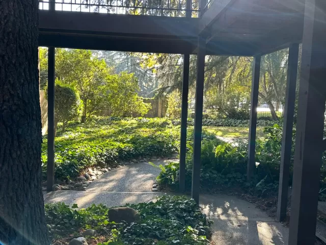 MLS: 223112886 Condo For Sale