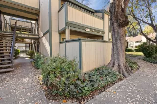 Photo #3: 223113039 Listing