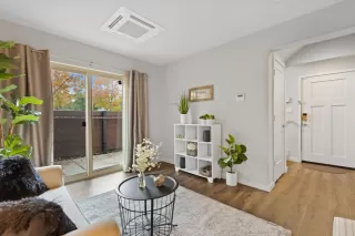 Photo #4: 223114430 Listing 