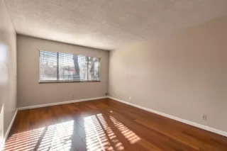 Photo #5: 223114835 Listing 