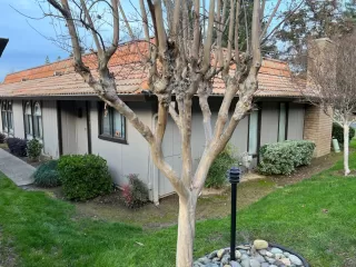 Photo #1: 223115626 Listing