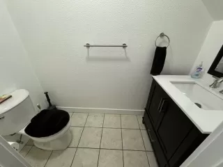 Photo #6: 223115683 Listing