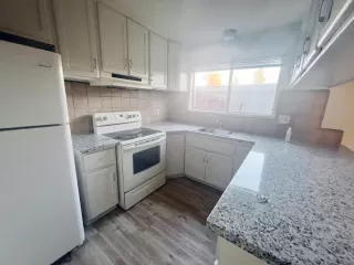 Photo #5: 223115800 Listing 