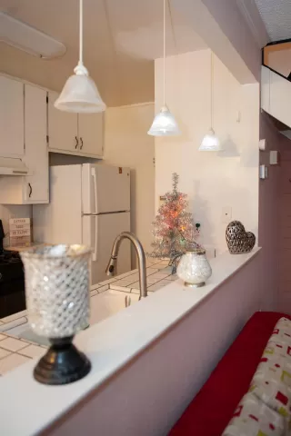 Photo #2: 223116314 Listing