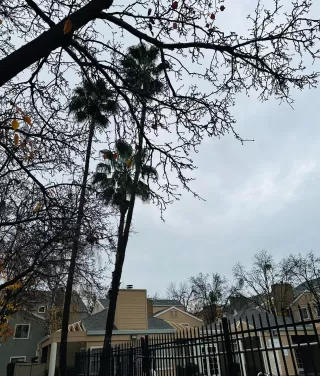 Photo #1: 223117038 Listing