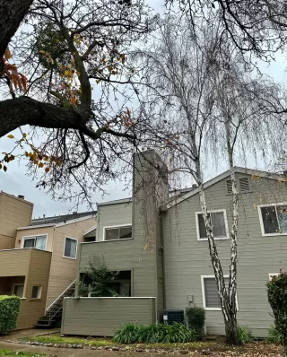 Photo #2: 223117038 Listing