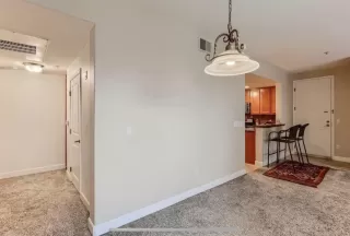 Photo #5: 223117298 Listing