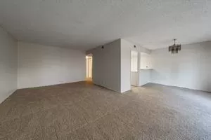 Photo #2: 223117780 Listing