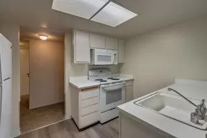 Photo #5: 223117780 Listing