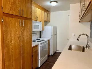 Photo #3: 223117816 Listing