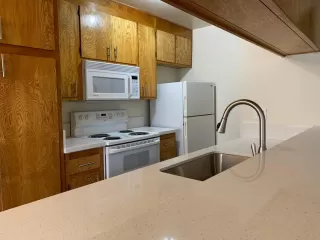 Photo #4: 223117816 Listing