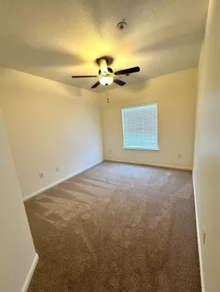 Photo #6: 224003413 Listing