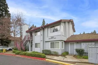 Photo #1: 224003485 Listing 