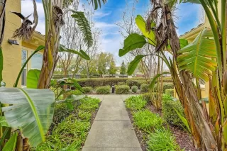 Photo #2: 224003621 Listing 