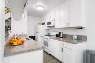 Photo #5: 224003661 Listing