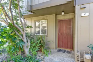 Photo #2: 224005197 Listing 