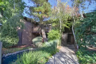 Photo #1: 224005543 Listing