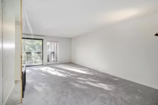 Photo #3: 224005543 Listing