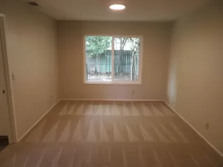 Photo #5: 224006581 Listing