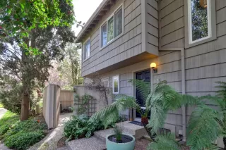 Photo #1: 224007294 Listing