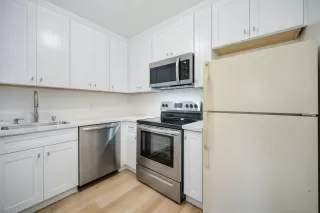 Photo #1: 224007773 Listing