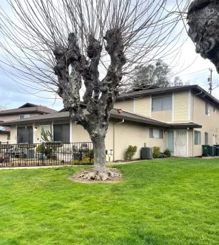 Photo #1: 224009110 Listing