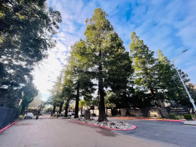 MLS: 224010361 Condo For Sale