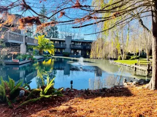 Photo #1: 224010361 Listing