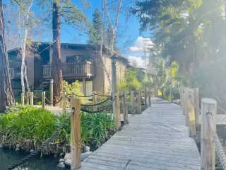 Photo #4: 224010361 Listing