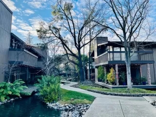 Photo #5: 224010361 Listing