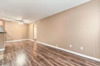 Photo #6: 224011429 Listing 