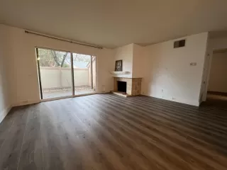 Photo #2: 224011575 Listing