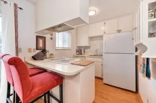 Photo #4: 224011584 Listing 