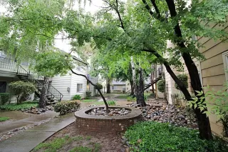 Photo #2: 224012887 Listing