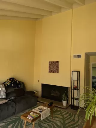 Photo #1: 224017297 Listing