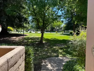 Photo #5: 224017548 Listing