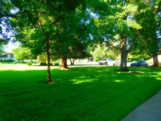 Photo #6: 224017548 Listing