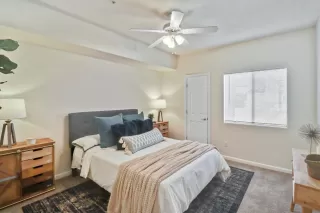 Photo #1: 224017580 Listing 