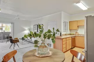 Photo #3: 224017580 Listing 