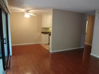 Photo #1: 224017592 Listing