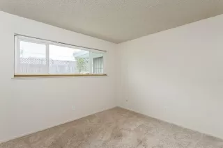 Photo #6: 224017616 Listing