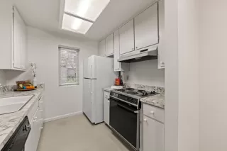 Photo #4: 224017815 Listing